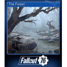 The Forest