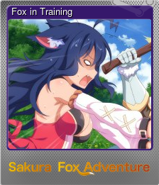 Series 1 - Card 2 of 6 - Fox in Training