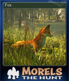 Series 1 - Card 8 of 15 - Fox