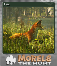 Series 1 - Card 8 of 15 - Fox