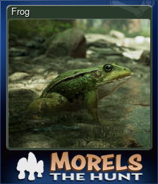 Series 1 - Card 5 of 15 - Frog