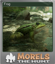 Series 1 - Card 5 of 15 - Frog