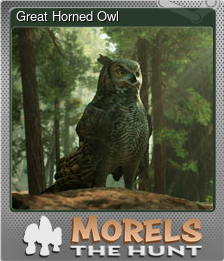 Series 1 - Card 13 of 15 - Great Horned Owl