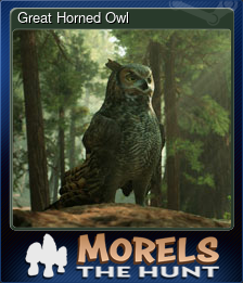 Series 1 - Card 13 of 15 - Great Horned Owl