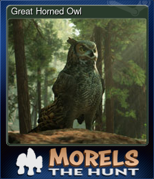 Great Horned Owl