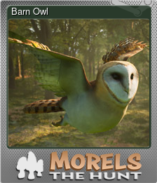 Series 1 - Card 10 of 15 - Barn Owl