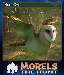 Series 1 - Card 10 of 15 - Barn Owl