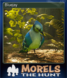 Series 1 - Card 6 of 15 - Bluejay