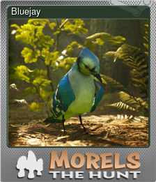 Series 1 - Card 6 of 15 - Bluejay