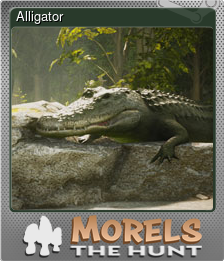 Series 1 - Card 9 of 15 - Alligator