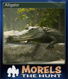 Series 1 - Card 9 of 15 - Alligator