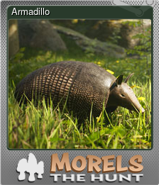 Series 1 - Card 7 of 15 - Armadillo