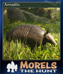 Series 1 - Card 7 of 15 - Armadillo