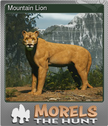 Series 1 - Card 14 of 15 - Mountain Lion