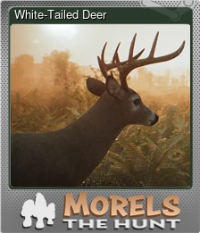 Series 1 - Card 2 of 15 - White-Tailed Deer