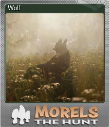 Series 1 - Card 15 of 15 - Wolf