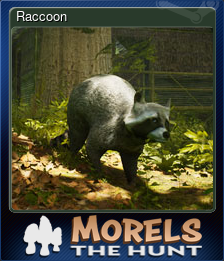 Series 1 - Card 4 of 15 - Raccoon