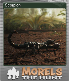 Series 1 - Card 11 of 15 - Scorpion