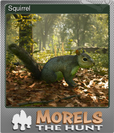Series 1 - Card 1 of 15 - Squirrel