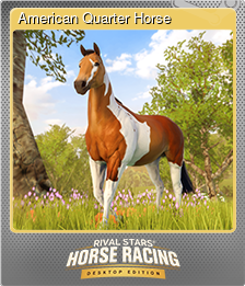 Series 1 - Card 4 of 8 - American Quarter Horse