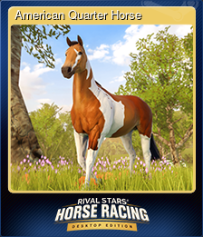 American Quarter Horse