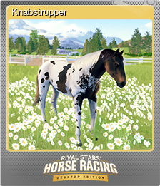 Series 1 - Card 2 of 8 - Knabstrupper