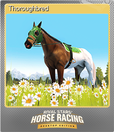 Series 1 - Card 3 of 8 - Thoroughbred