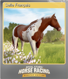 Series 1 - Card 5 of 8 - Selle Français