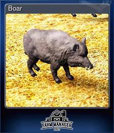 Series 1 - Card 4 of 5 - Boar