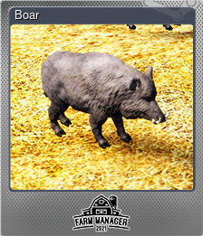 Series 1 - Card 4 of 5 - Boar