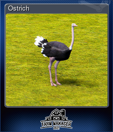 Series 1 - Card 2 of 5 - Ostrich