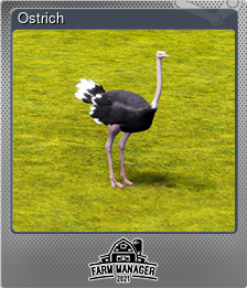 Series 1 - Card 2 of 5 - Ostrich