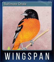 Baltimore Oriole