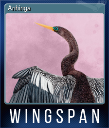 Series 1 - Card 1 of 10 - Anhinga