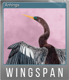 Series 1 - Card 1 of 10 - Anhinga