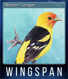 Western Tanager