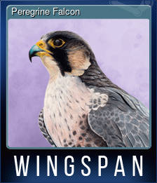 Series 1 - Card 7 of 10 - Peregrine Falcon