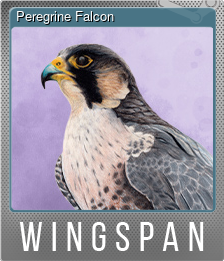 Series 1 - Card 7 of 10 - Peregrine Falcon