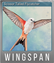 Series 1 - Card 9 of 10 - Scissor Tailed Flycatcher