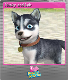 Series 1 - Card 4 of 5 - Husky and Lab