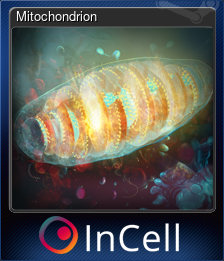 Series 1 - Card 1 of 6 - Mitochondrion