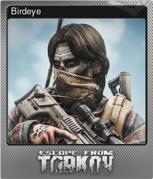 Series 1 - Card 3 of 14 - Birdeye