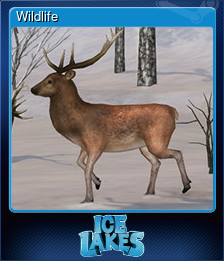 Series 1 - Card 3 of 6 - Wildlife