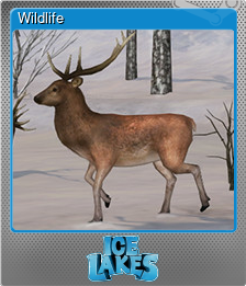 Series 1 - Card 3 of 6 - Wildlife