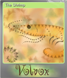 Series 1 - Card 6 of 9 - The Shrimp