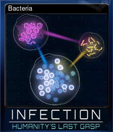 Bacteria