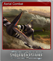 Series 1 - Card 5 of 5 - Aerial Combat