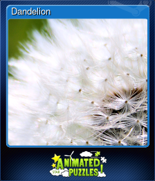 Dandelion