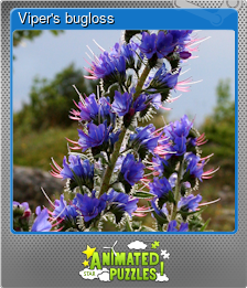 Series 1 - Card 6 of 7 - Viper's bugloss