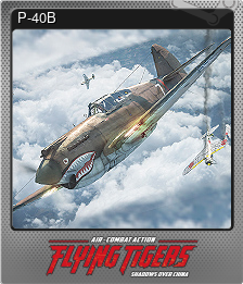 Series 1 - Card 3 of 7 - P-40B